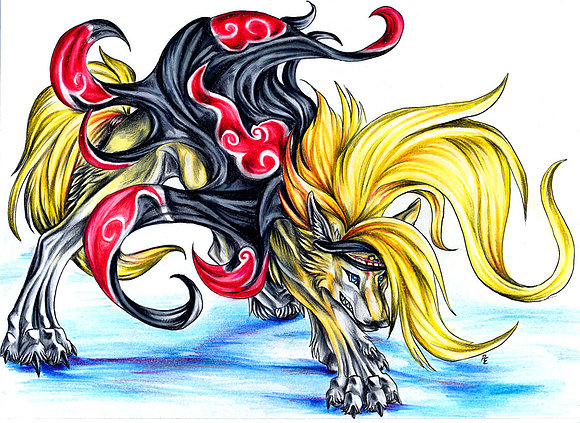 DEIDARA  ANIMAL