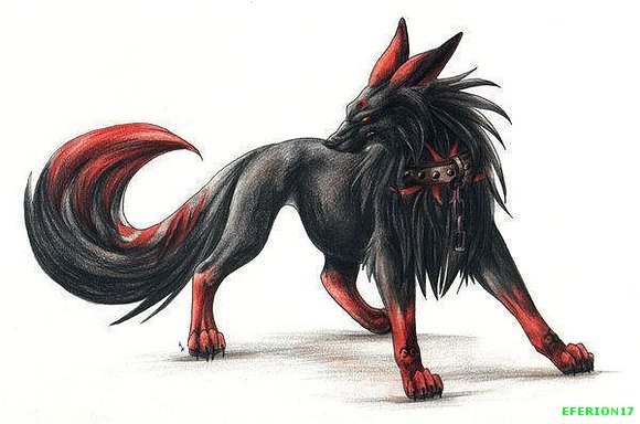 lobo negro