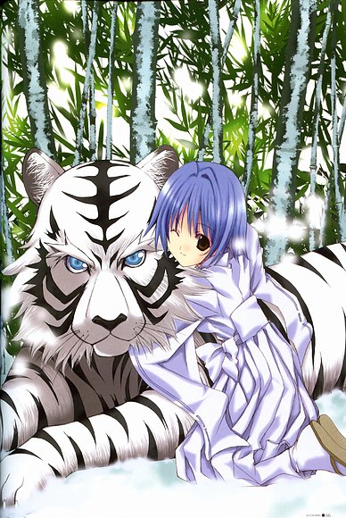 Tigr3 blanko