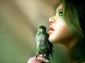 EL P&Aacute;JARO DEL ALMA