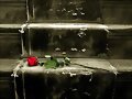 EL OLVIDO  ( Una reflexi&oacute;n)