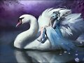 EL CISNE