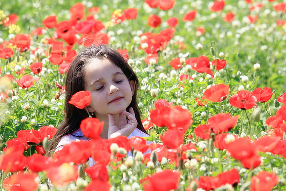 FELIZ PRIMAVERA PARA LOS AMIGOS DEL HEMISFERIO SUR