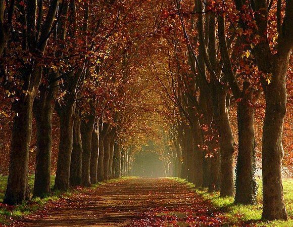 MÁGICO OTOÑO