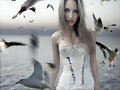 SON LAS GAVIOTAS, AMOR