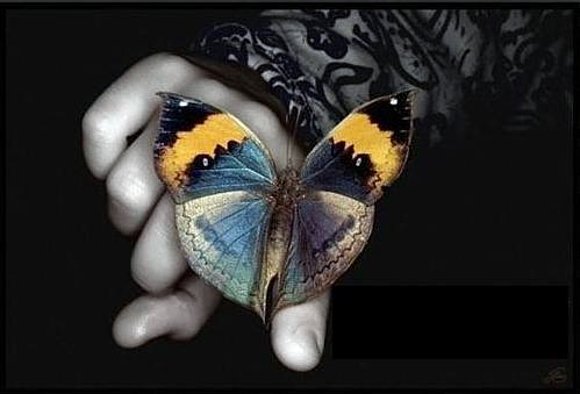 MARIPOSAS