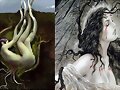 un a&ntilde;o de sue&ntilde;os (gracias a migos y amigas)