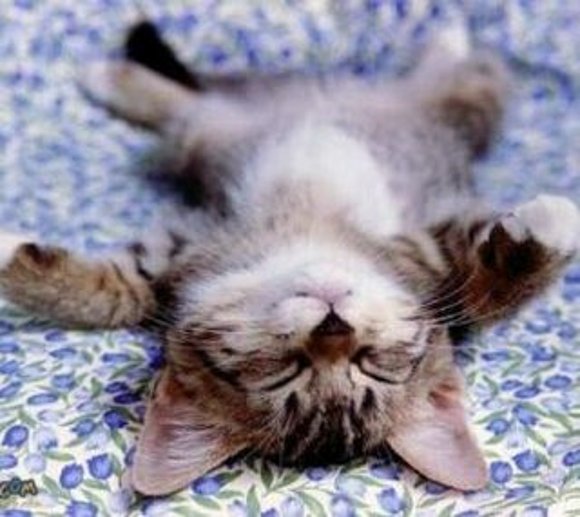 felizzzzz diaaa o noche jejejee
