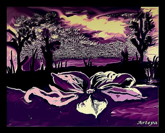 Flor de la Noche
