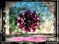Escenario de una flor