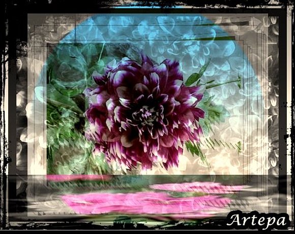 Escenario de una flor