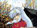 inu en oto&ntilde;o