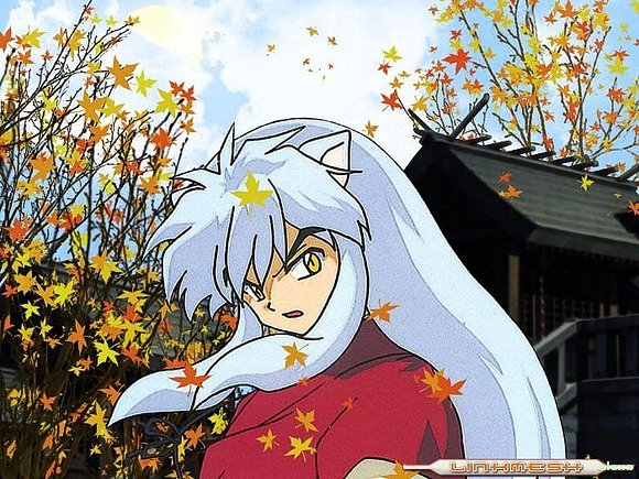 inu en otoño
