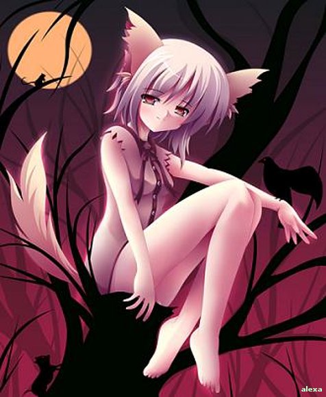 gatita