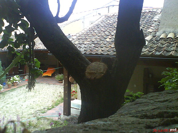 Quietud