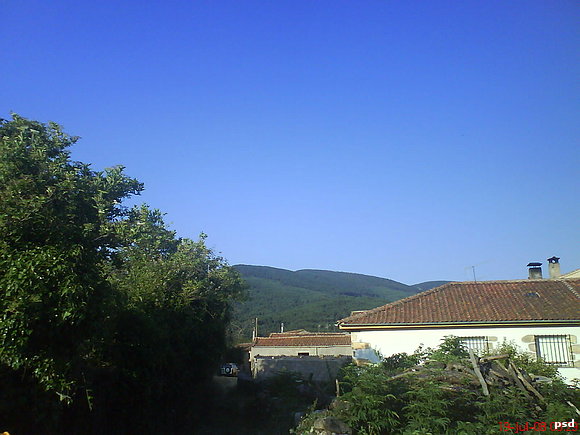Leña apilada