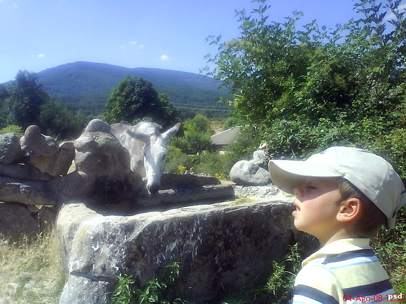 Mirando a "PLATERO"