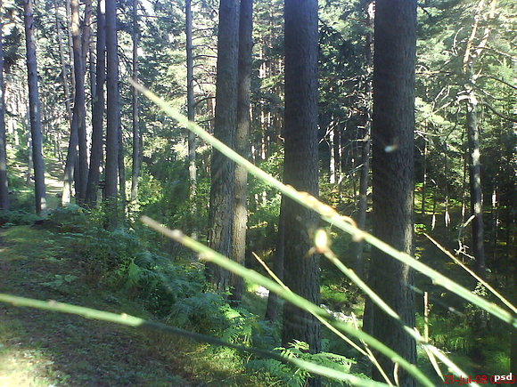 SOL Y SOMBRA