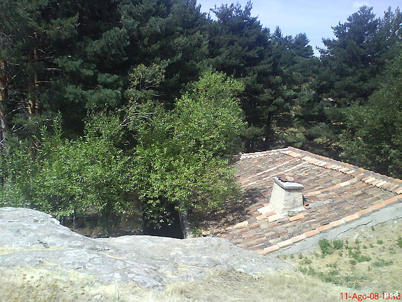 MARTINETE