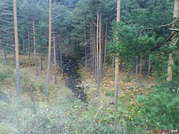 El Ceguilla