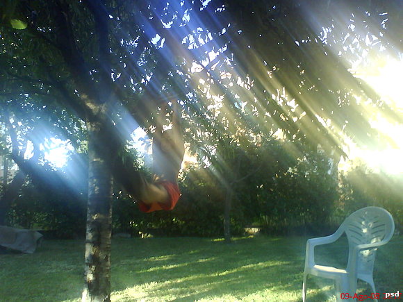 Trepando