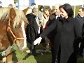 Feria de Ganado