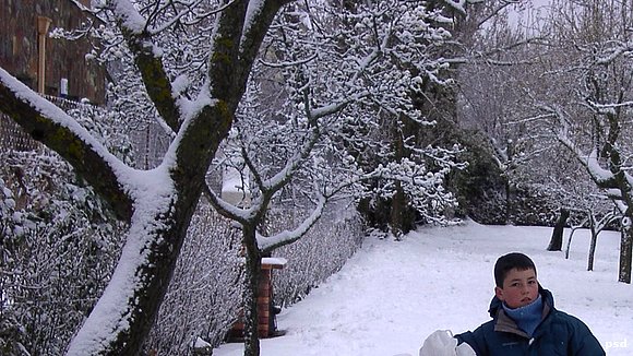 NIEVE