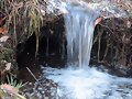Peque&ntilde;o salto
