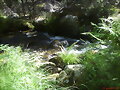 Aguas del Cega