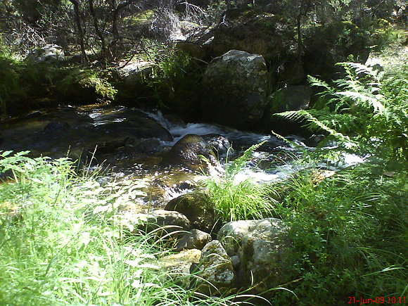 Aguas del Cega