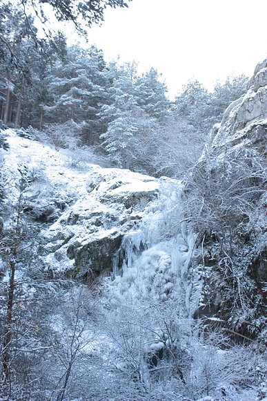 PAISAJE NEVADO
