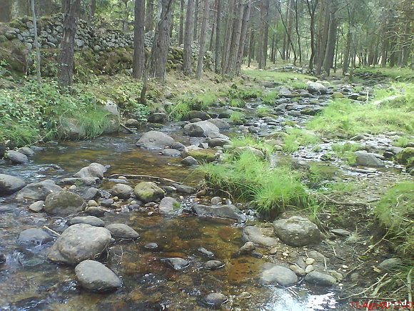 El Cega en agosto