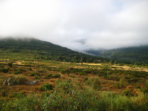 "MAÑANITA DE NIEBLA...