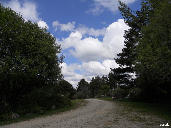 CAMINO DE PEÑACABRA