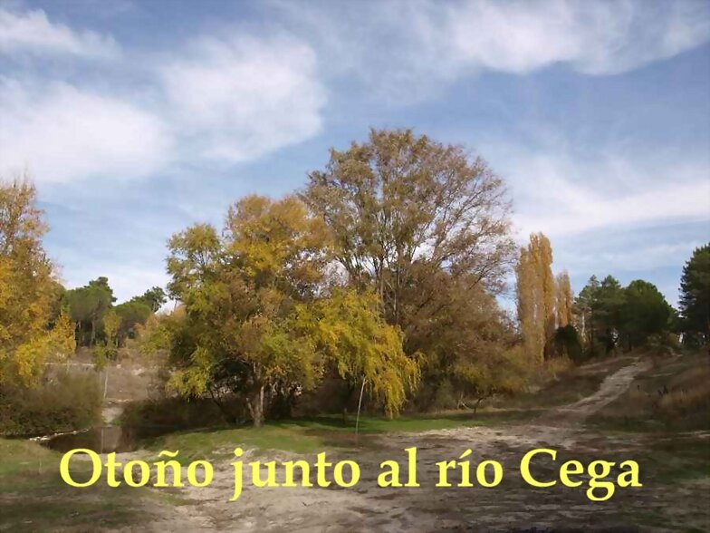 OTOÑO JUNTO AL RÍO CEGA
