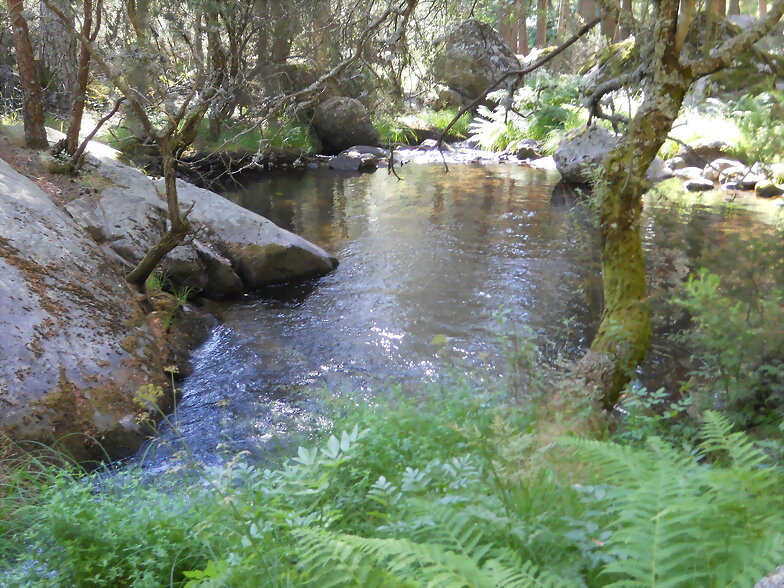 RINCÓN EN EL ARROYO ARTIÑUELO