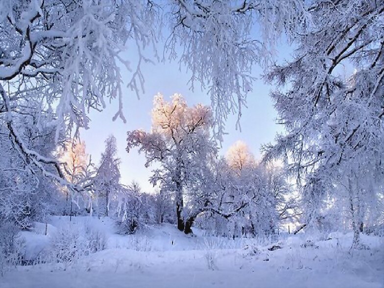 Llega la nieve