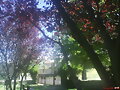 Parque infantil