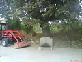 Fuente del Roble
