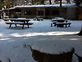 La nieve
