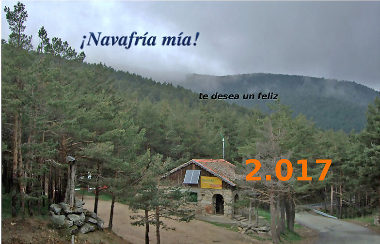 Año  Nuevo
