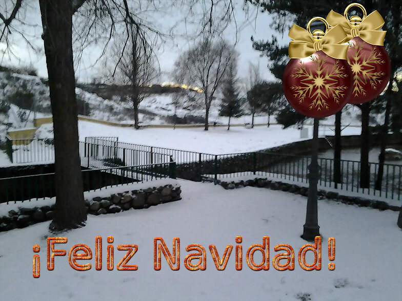 Salud, Paz, Amor