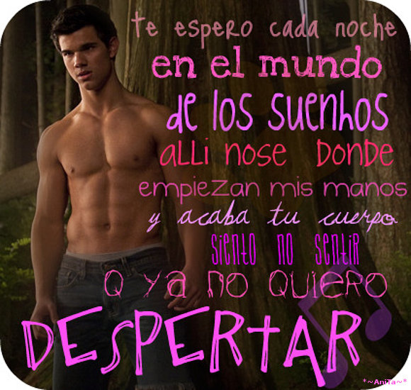 Tayy
