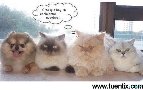 me encantaaaaaaa!