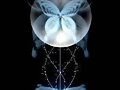 MaRiPoSa