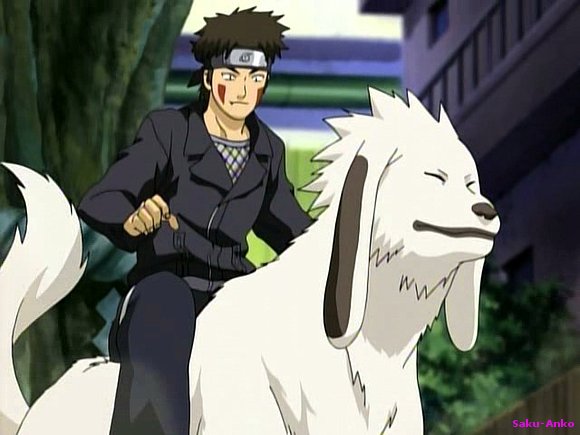 mi kiba y akamaru