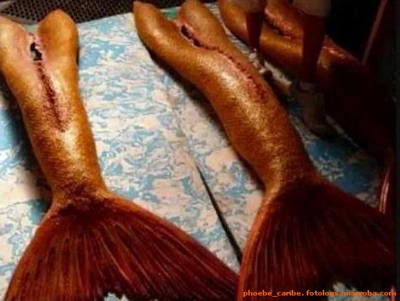 .. las colaas de las sirenas (: