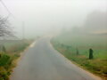 Caminando entre la Niebla