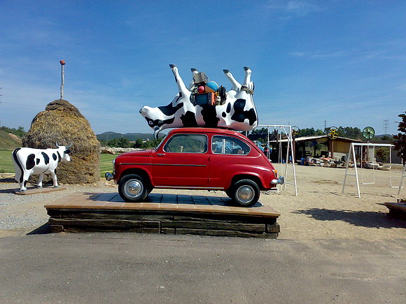 seisciento,mas la vaca.2008