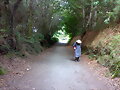 Camino de Santiago,Galicia